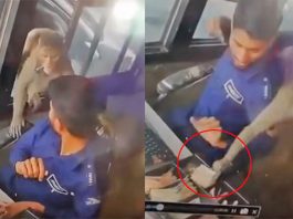 Monkey enters Kanpur toll booth and steals money from cash counter. Watch viral video